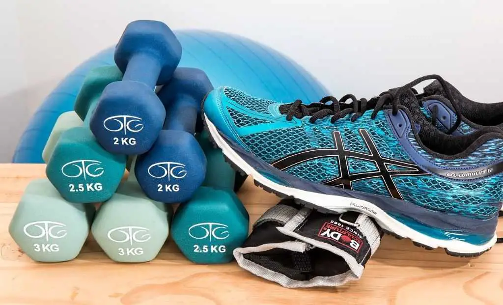 Dumbbells-Training-Fitness-Gym-Workout-Exercise