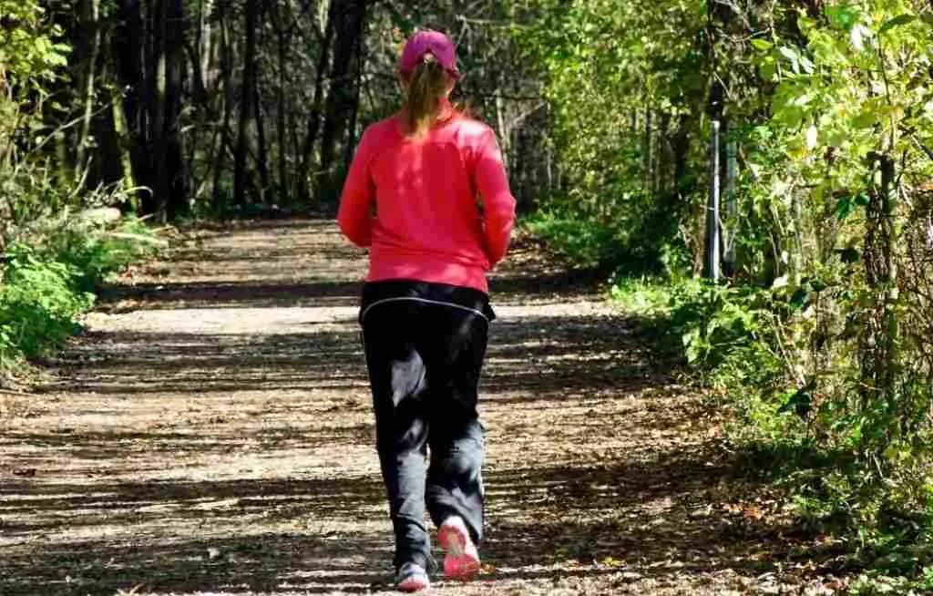 nature-forest-walking-girl-woman-trail