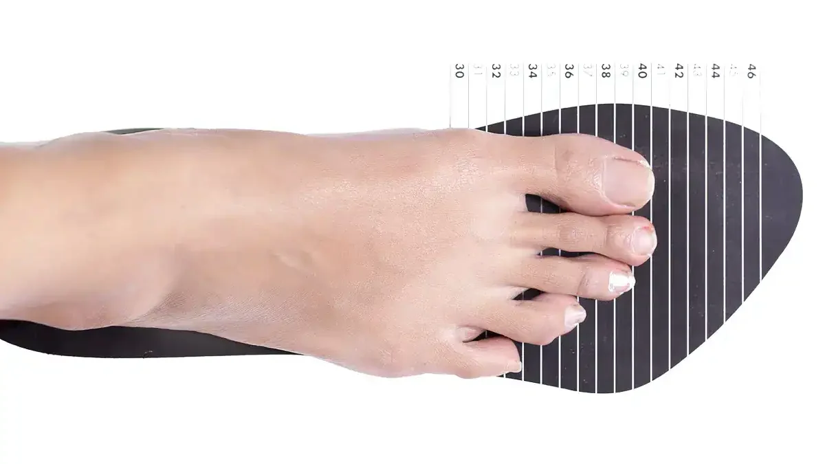 shoe size and fit