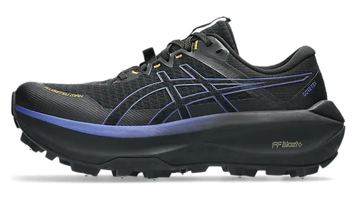 Asics Fujisetsu Max GTX running shoe