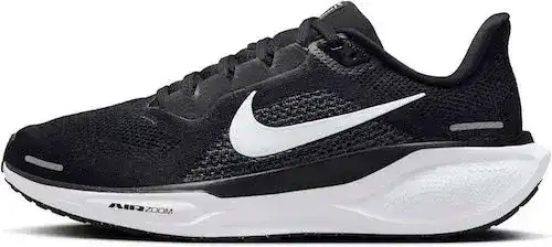 nike pegasus 41