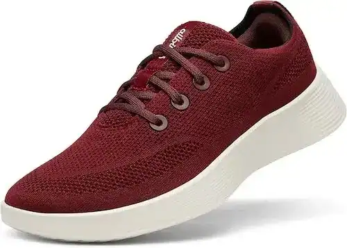 Allbirds Tree Runner Go