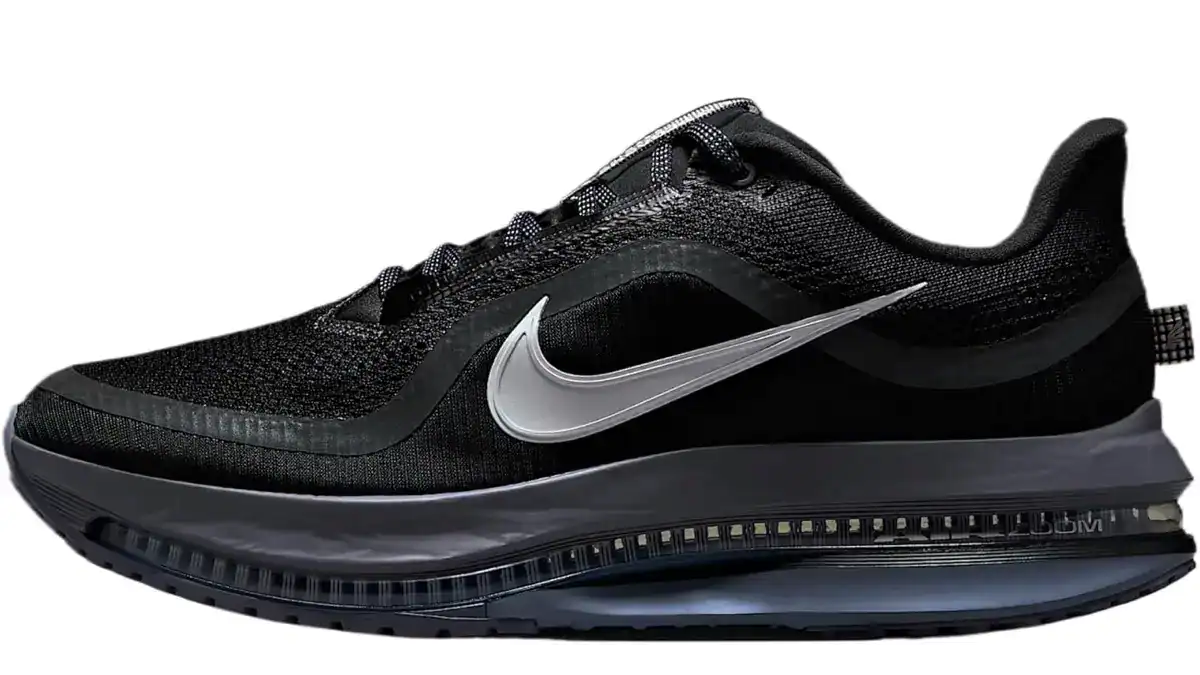 Nike Pegasus series shoes